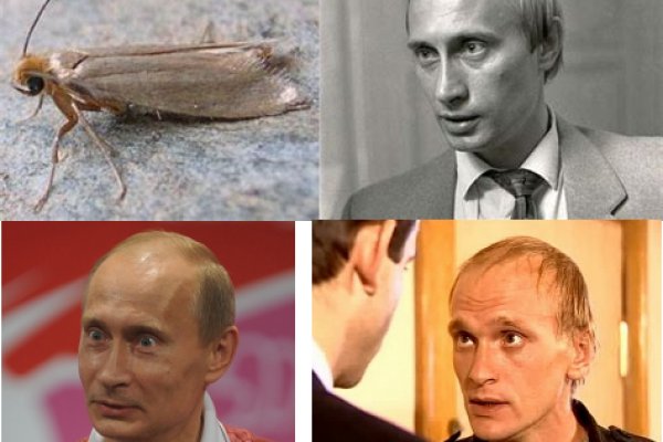 Кракен сайт 13at