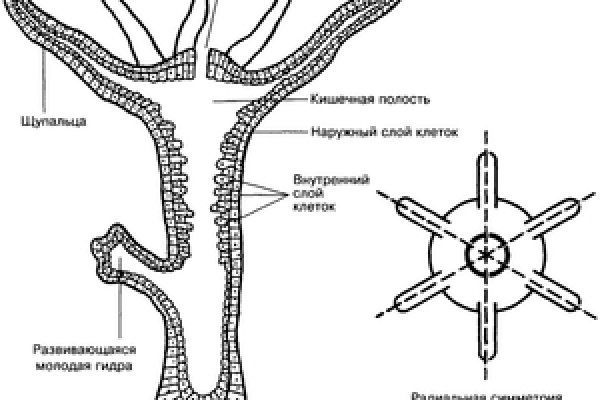 Кракен меф