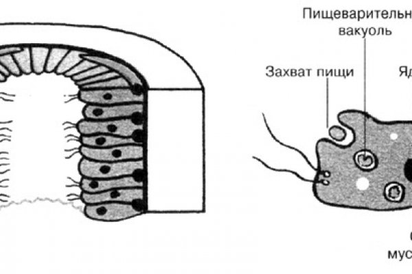 Как вернуть деньги с кракена
